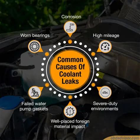 antifreeze leak|Common Causes Of Coolant Leaks 